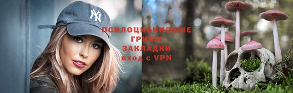 шишки Аркадак