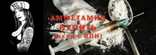 шишки Аркадак